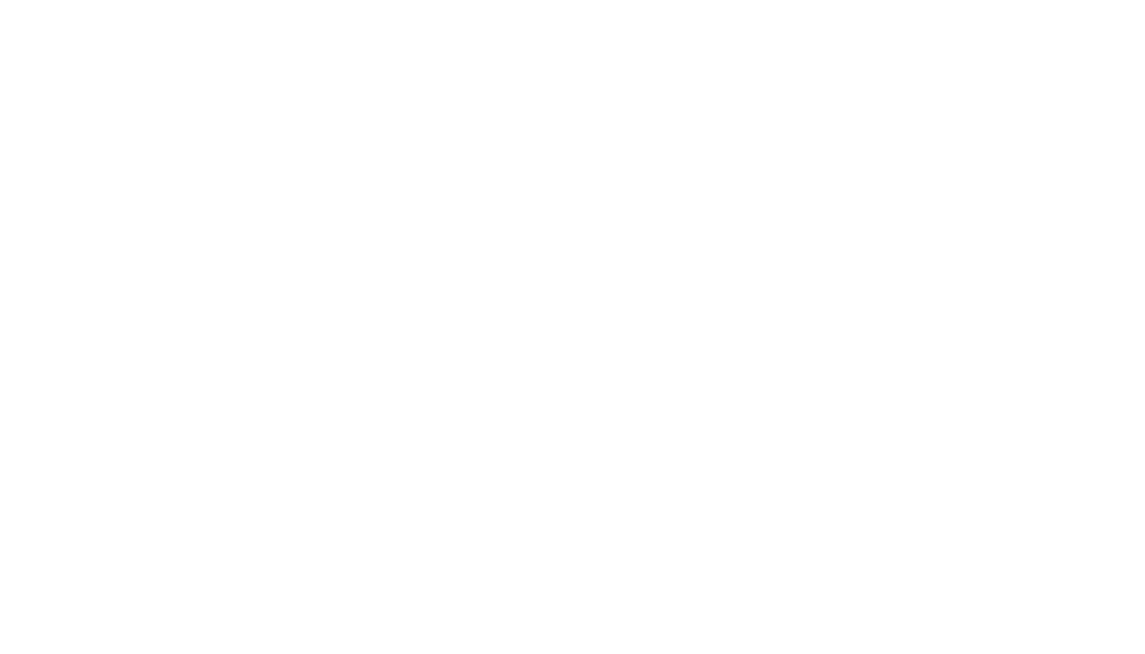 Platypus Logo_1663x950
