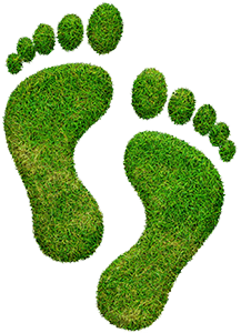 Grass Feet 2